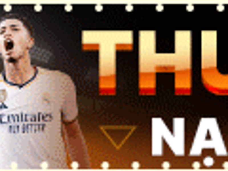 Gà được huấn luyện và chăm sóc kỹ lưỡng