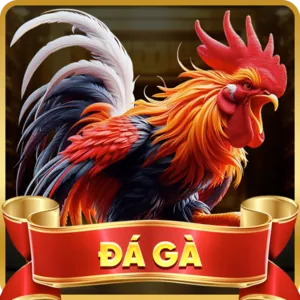 Cá Cược Thể Thao OK 365
