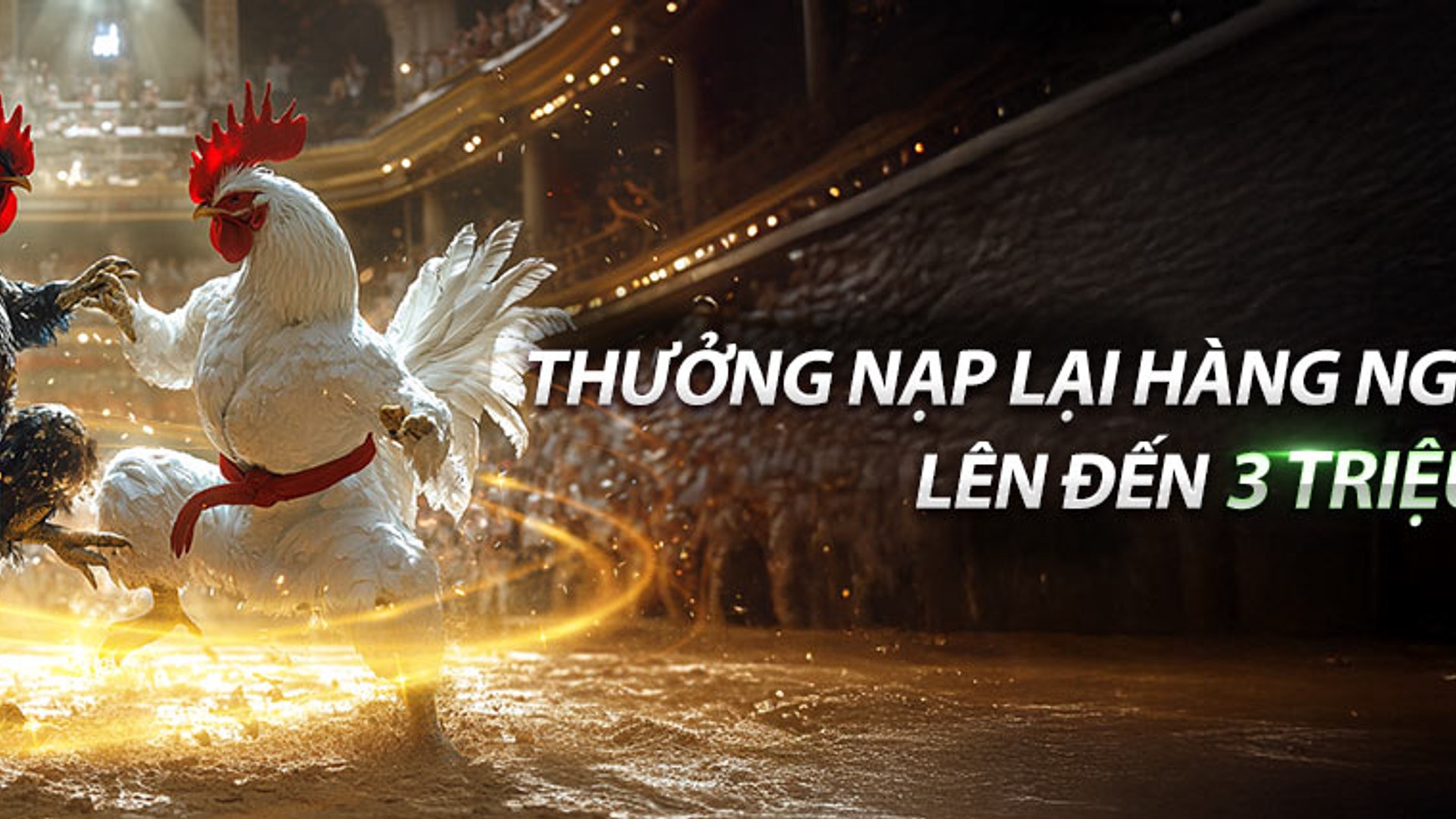 Đá gà trực tuyến tại OK 365