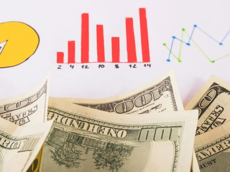 Hình ảnh chiến kê đang thi đấu, minh họa chiến lược cá cược đá gà