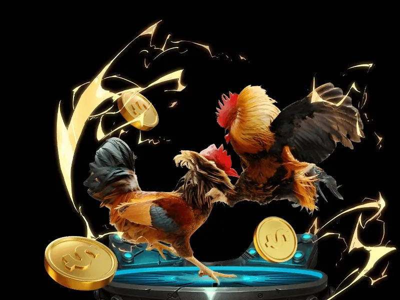 Hình ảnh quan sát và kiên nhẫn